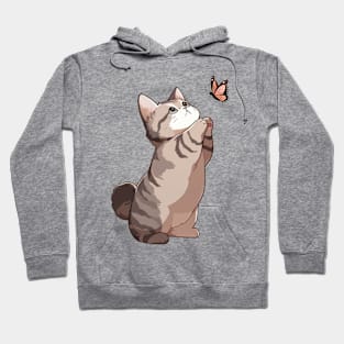 Cute Exotic Shorthair Cat Hoodie